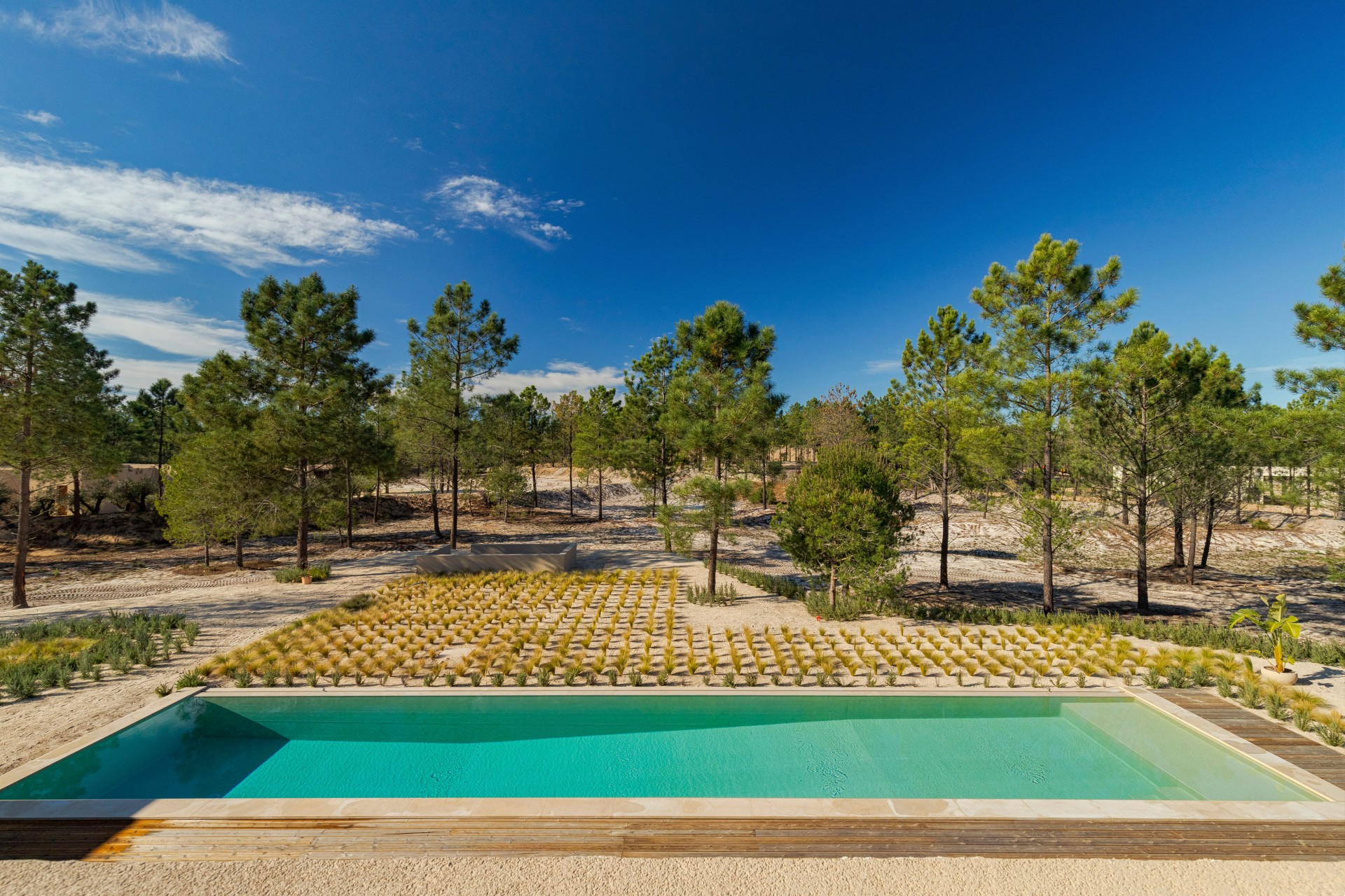 Luxury Villa in Melides: A Private Retreat Near the Beach