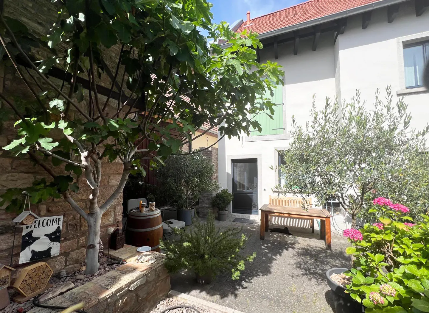 A charming courtyard with trees, flowers, and a wooden bench outside a white house with green shutters.