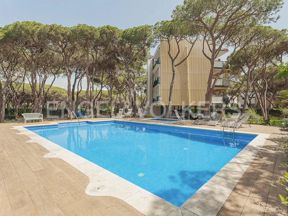 Outdoor pool with blue tile, surrounded by a wooden deck, lounge chairs, and tall pine trees. A building is visible in the background.