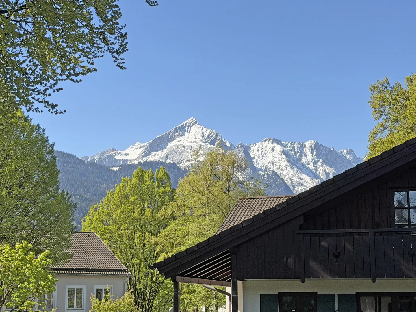 Scenic view of a dark brown house with snow-capped mountains in the background, framed by green trees under a clear blue sky.