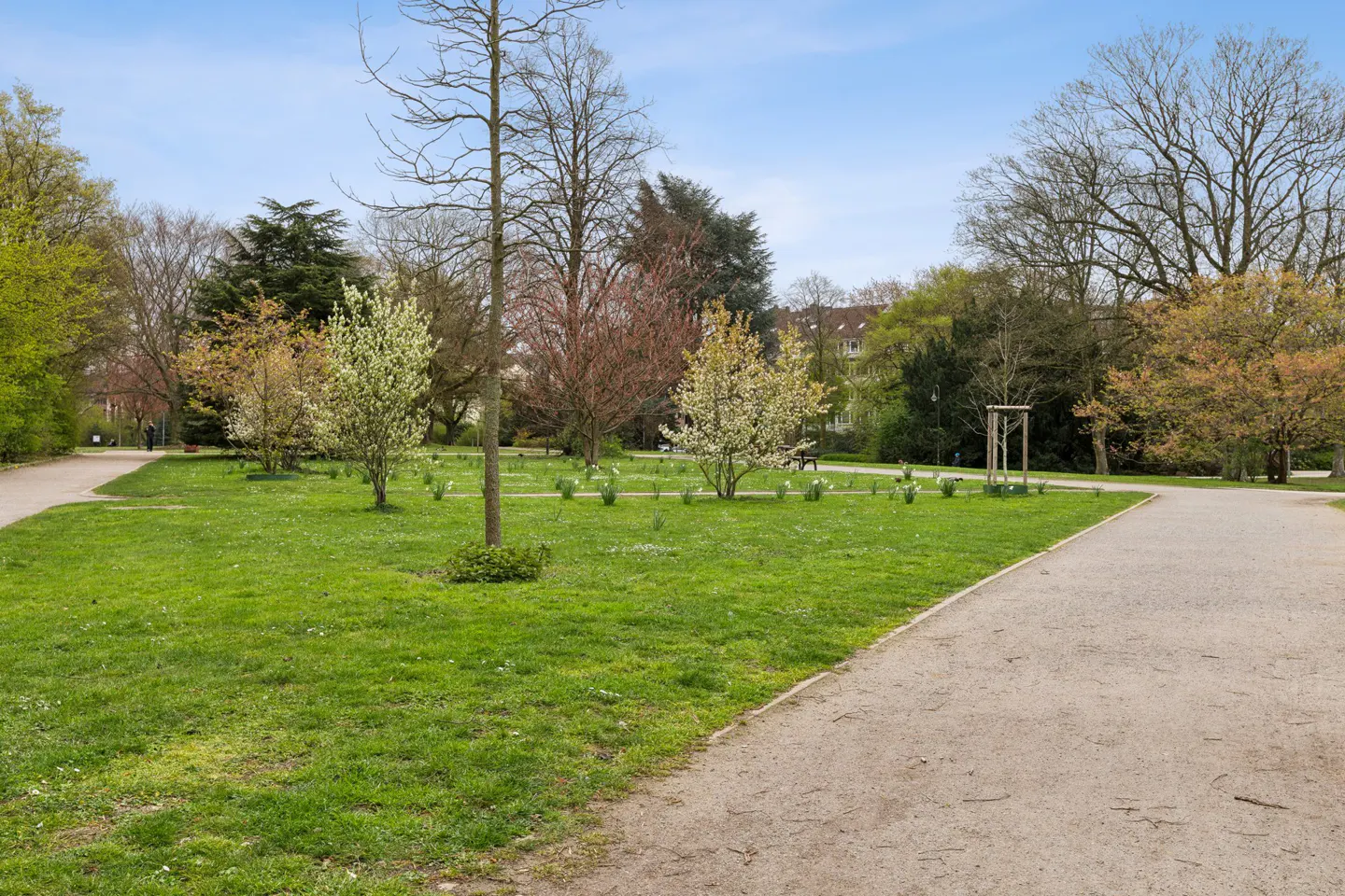 A park with green grass, trees, and a gravel path under a blue sky.