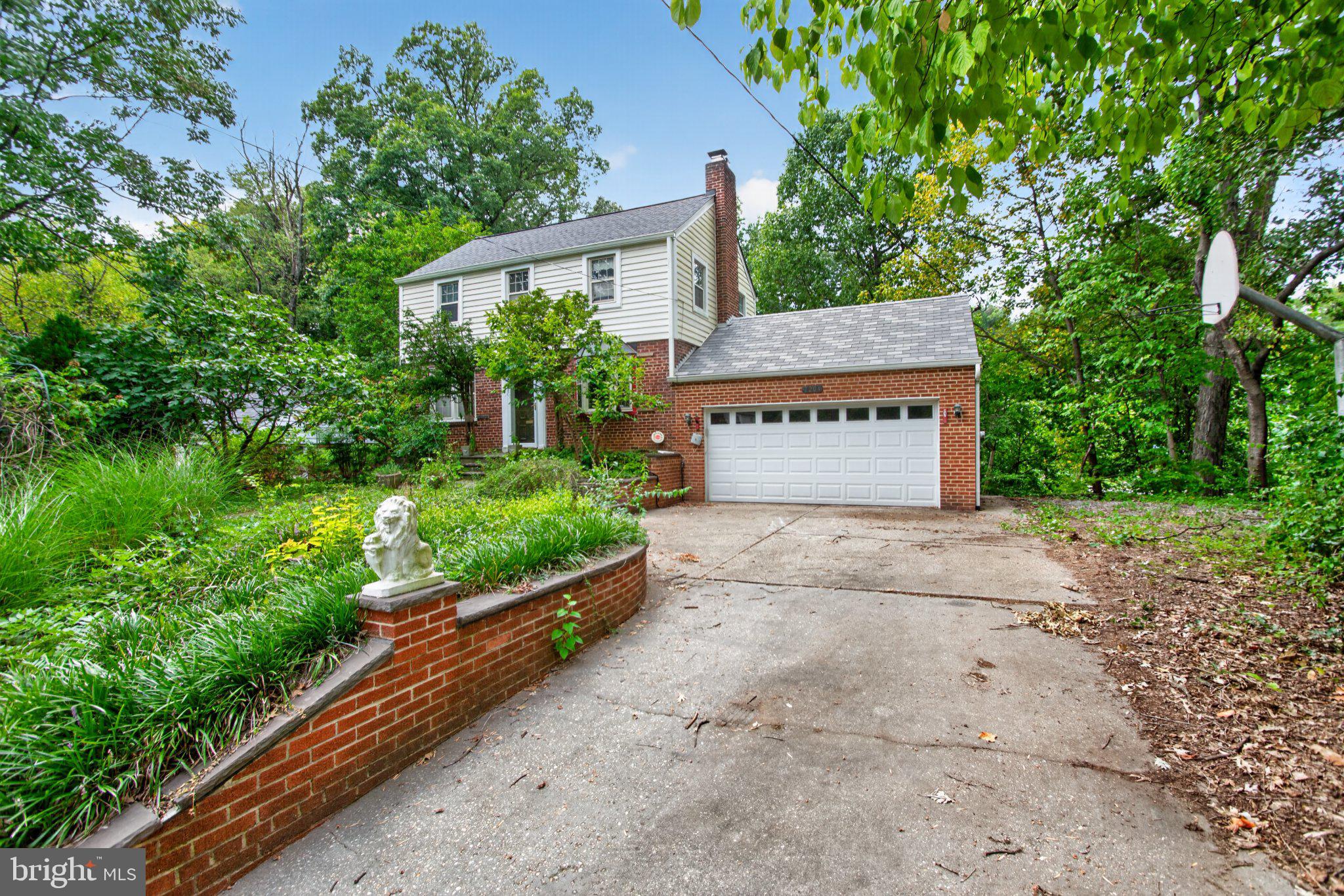A Rare Canvas in Takoma Park