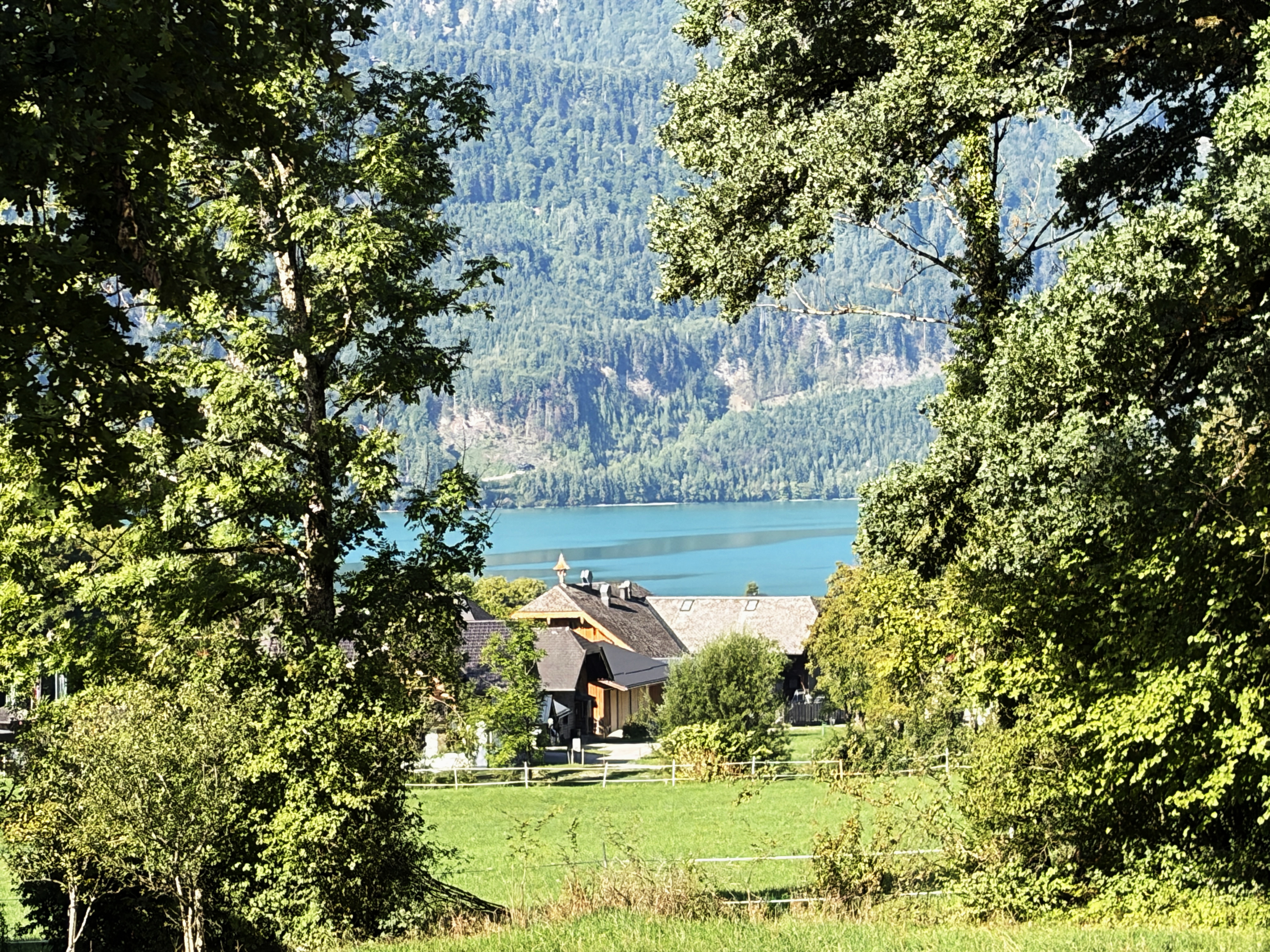 Exklusives Grundstück über dem Wolfgangsee – Ruhe, Weitblick & Natur pur