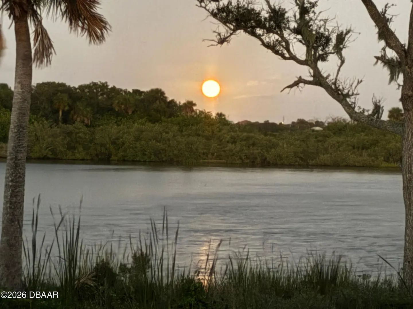 Sunset over a calm river, framed by trees and tall grass in the foreground. The sun reflects on the water's surface.