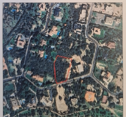 Aerial view of a wooded residential neighborhood with a red outline highlighting a specific vacant plot of land.
