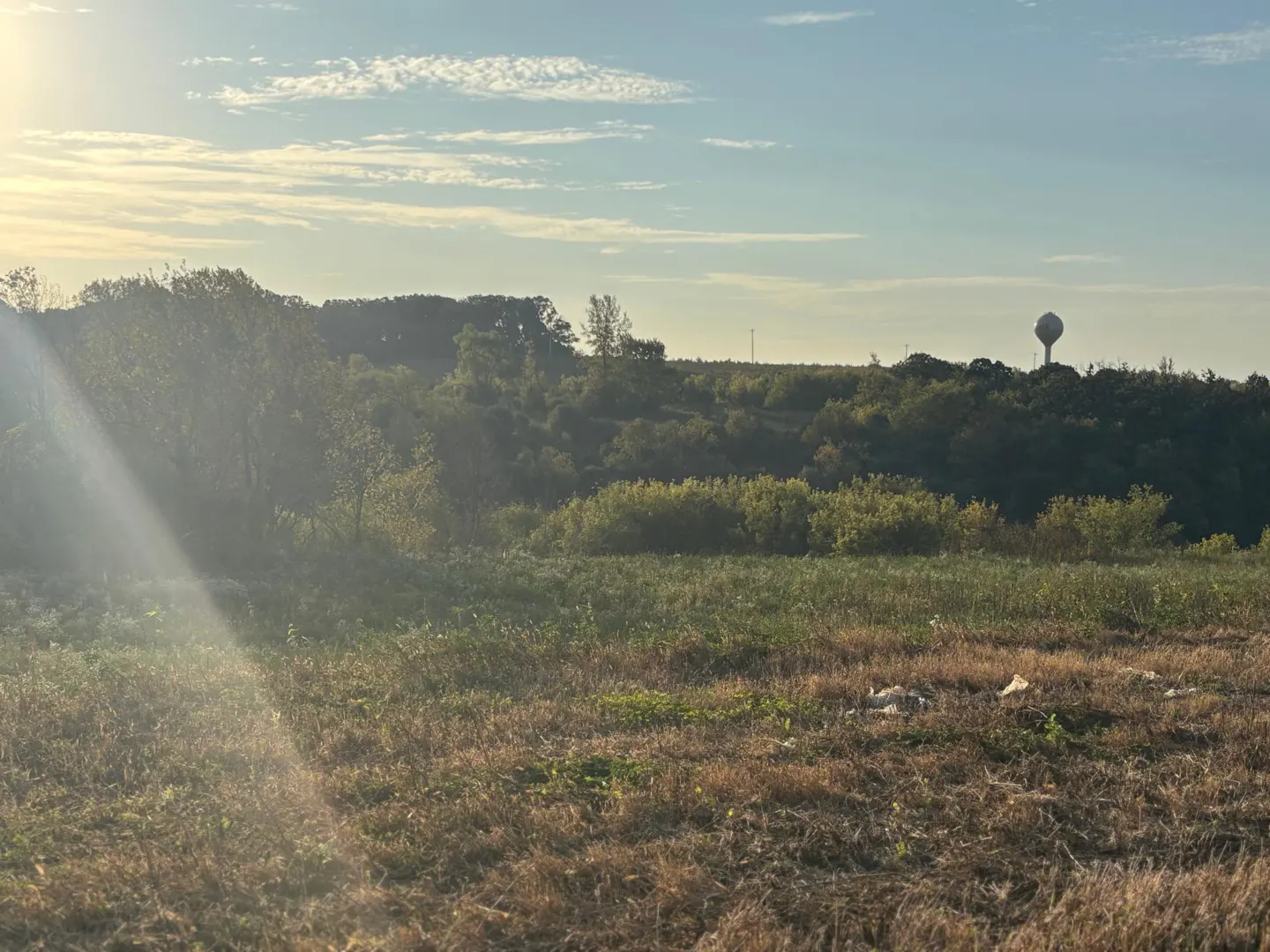 A sunny landscape with a field in the foreground, trees and a water tower in the background.