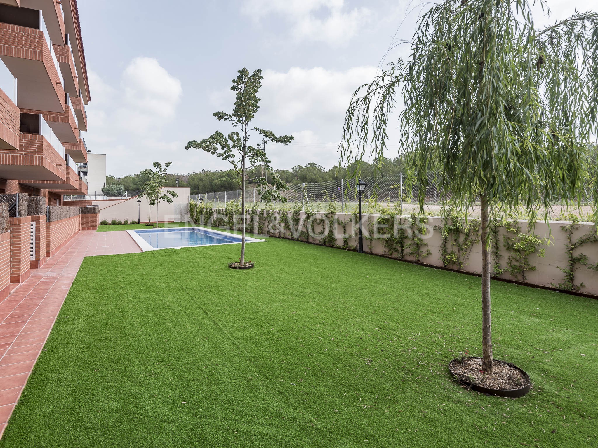 A backyard with a green lawn, a small rectangular swimming pool, two trees, and a brick apartment building on the left.