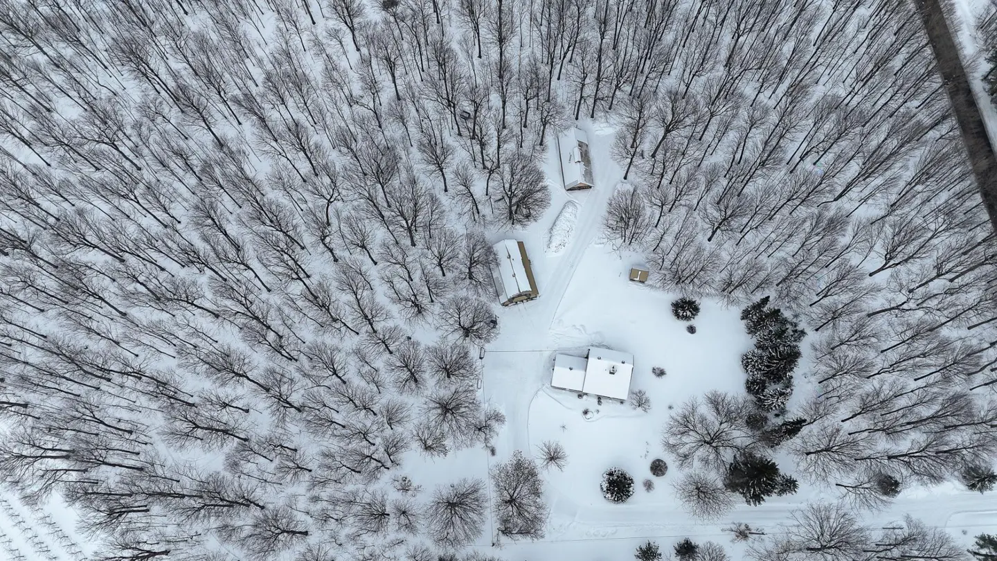 Aerial view of a snow-covered house and outbuildings surrounded by bare trees in winter.