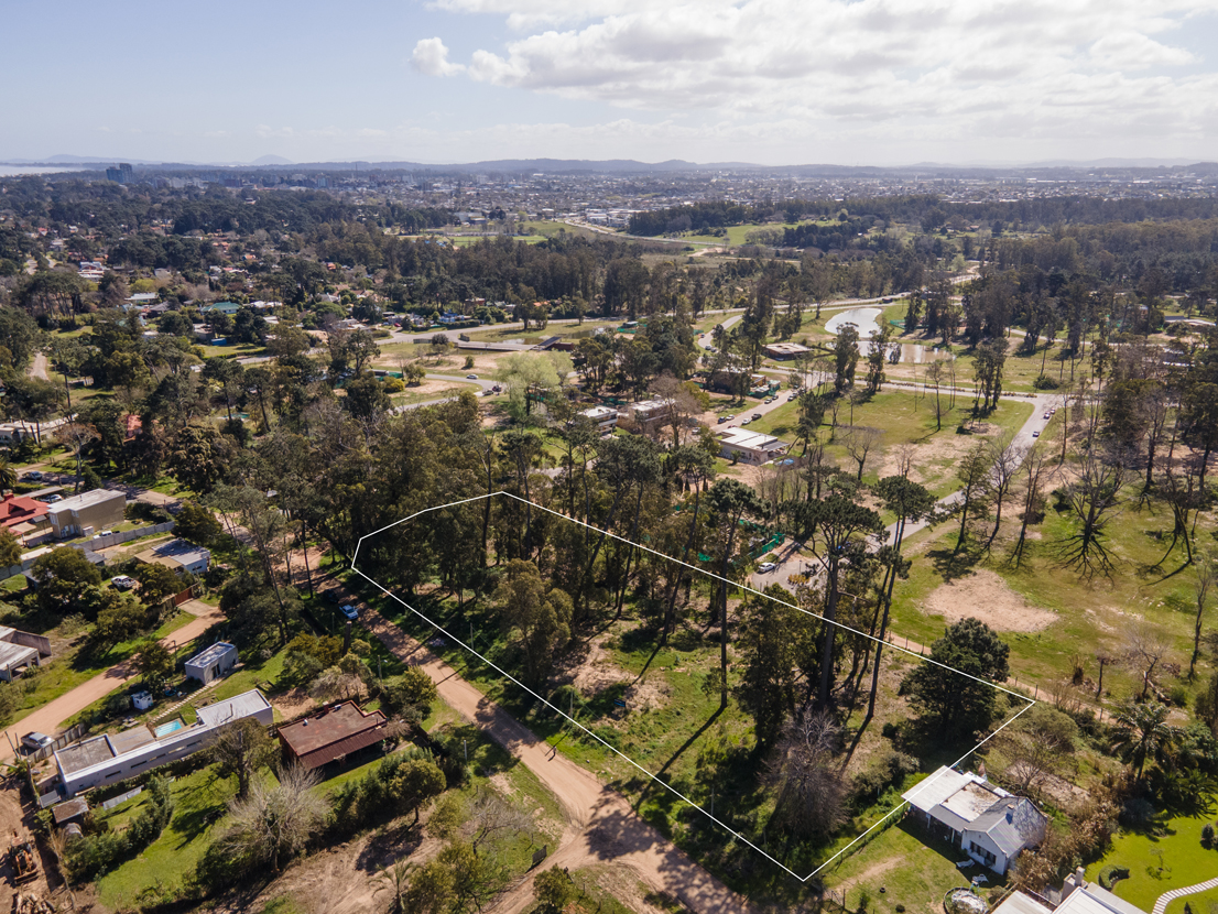 Terreno de 6.600 m² con potencial para desarrollo residencial – Punta del Este