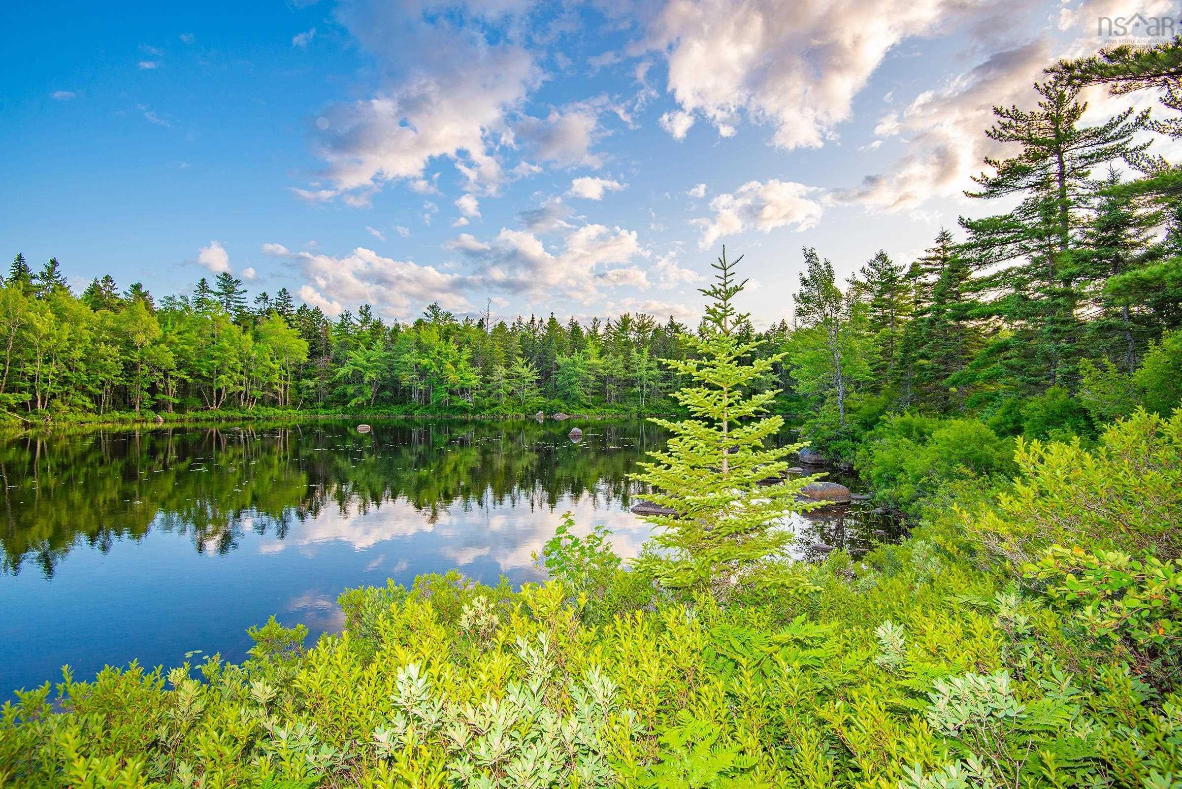 4.6 Pristine Acres of Possibility