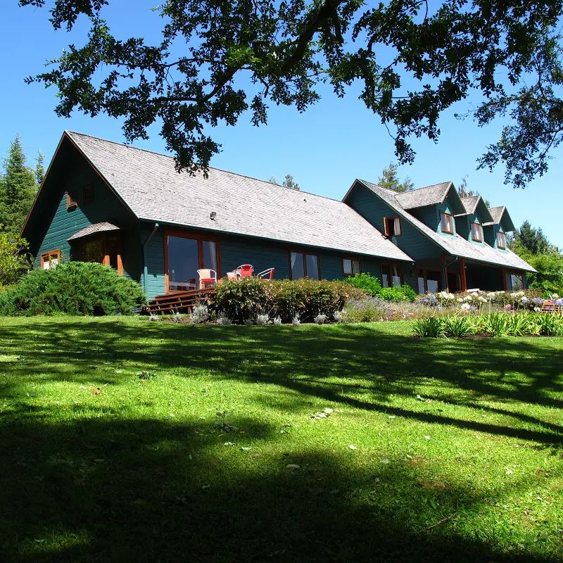 Green house with a gray roof and a large lawn, partially shaded by a tree.