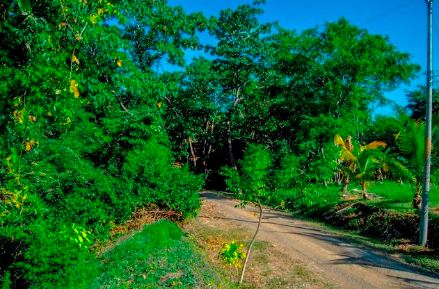 Exclusive Ocean View Lot 15 in La Reserva Camaronal