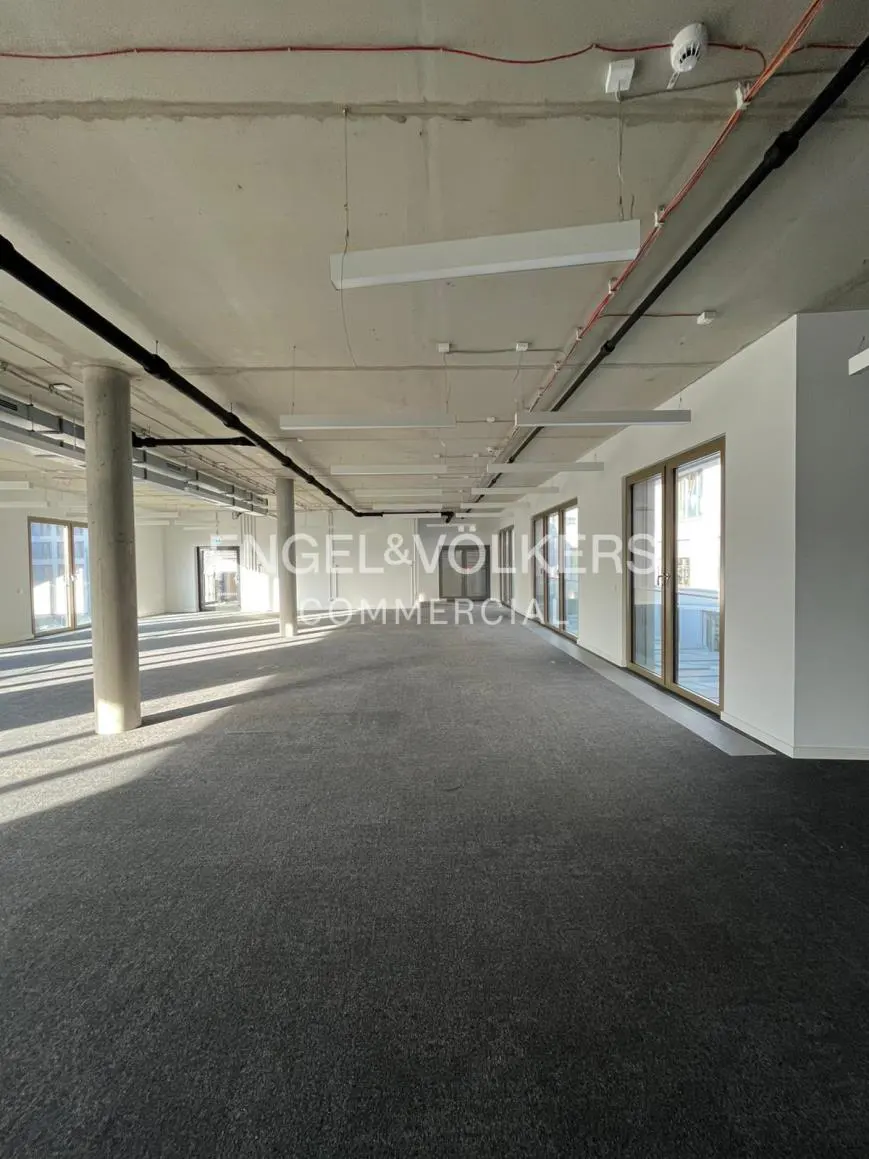An empty commercial space with gray carpet, white walls, and large windows. Overhead lighting and support columns are visible.