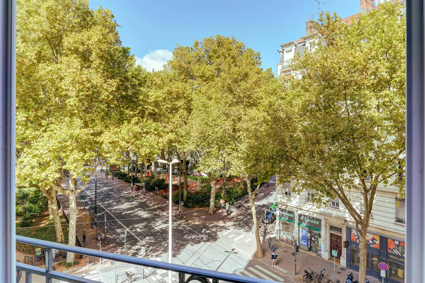 View from a window overlooking a tree-lined street with shops and a park on a sunny day.