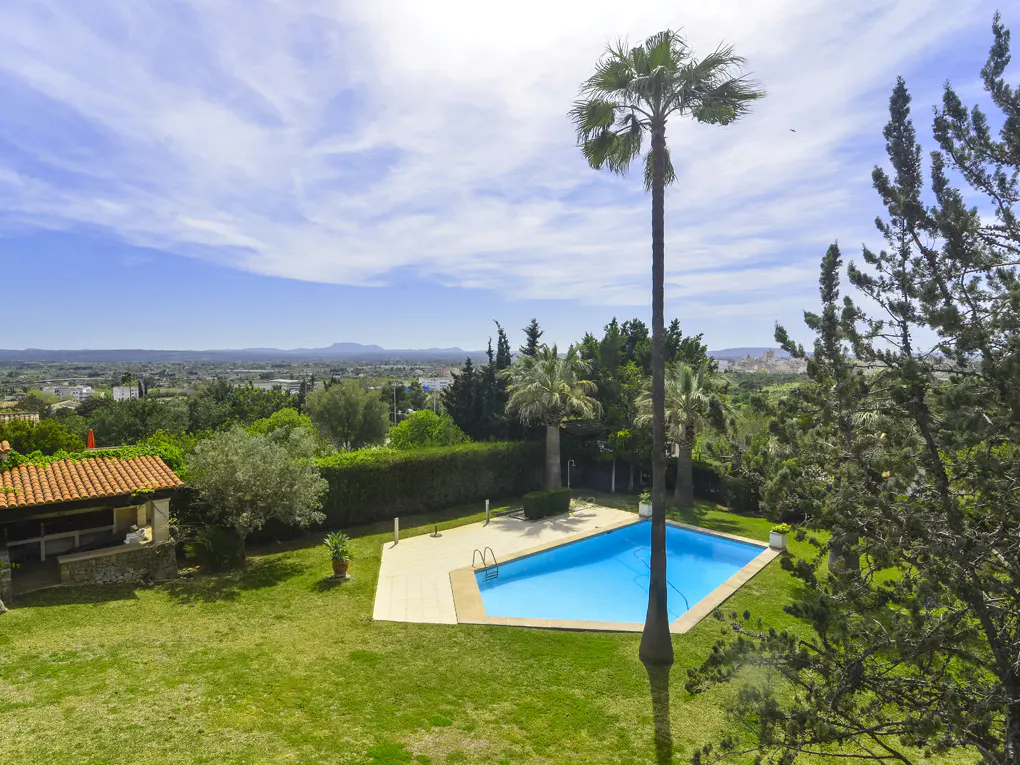 Aerial view of a blue swimming pool surrounded by green grass, trees, and a palm tree under a blue sky.