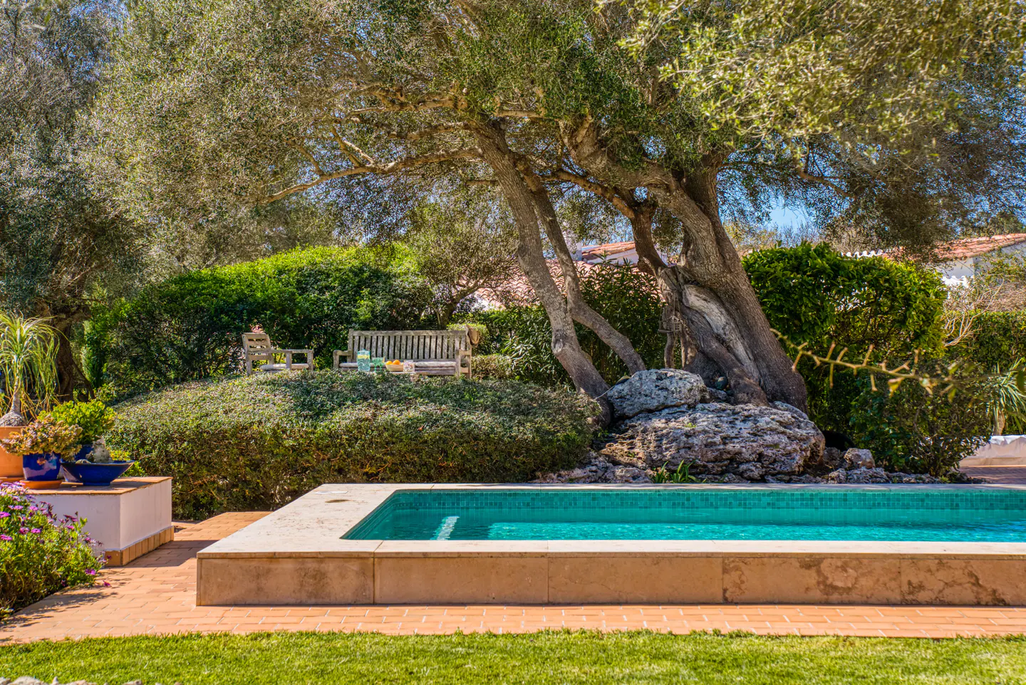 Outdoor pool with turquoise water, surrounded by brick patio and green lawn. A bench sits under a large tree in the background.