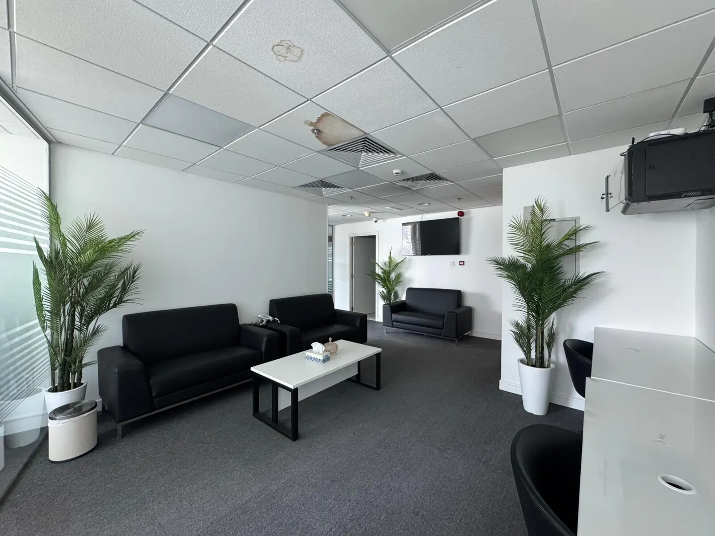 Office waiting area with black sofas, white walls, and gray carpet. A white table sits in the center. Potted plants add greenery. Ceiling tiles show water damage.