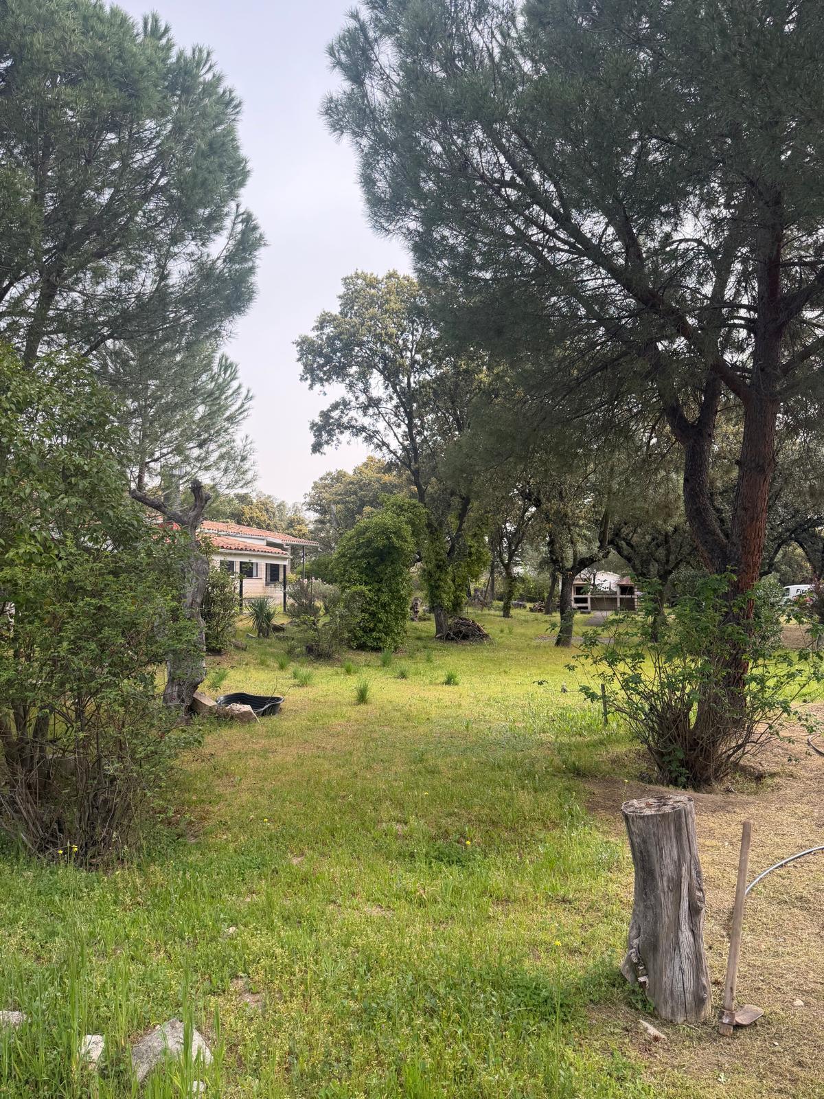 Spectacular plot in Villanueva de la Cañada