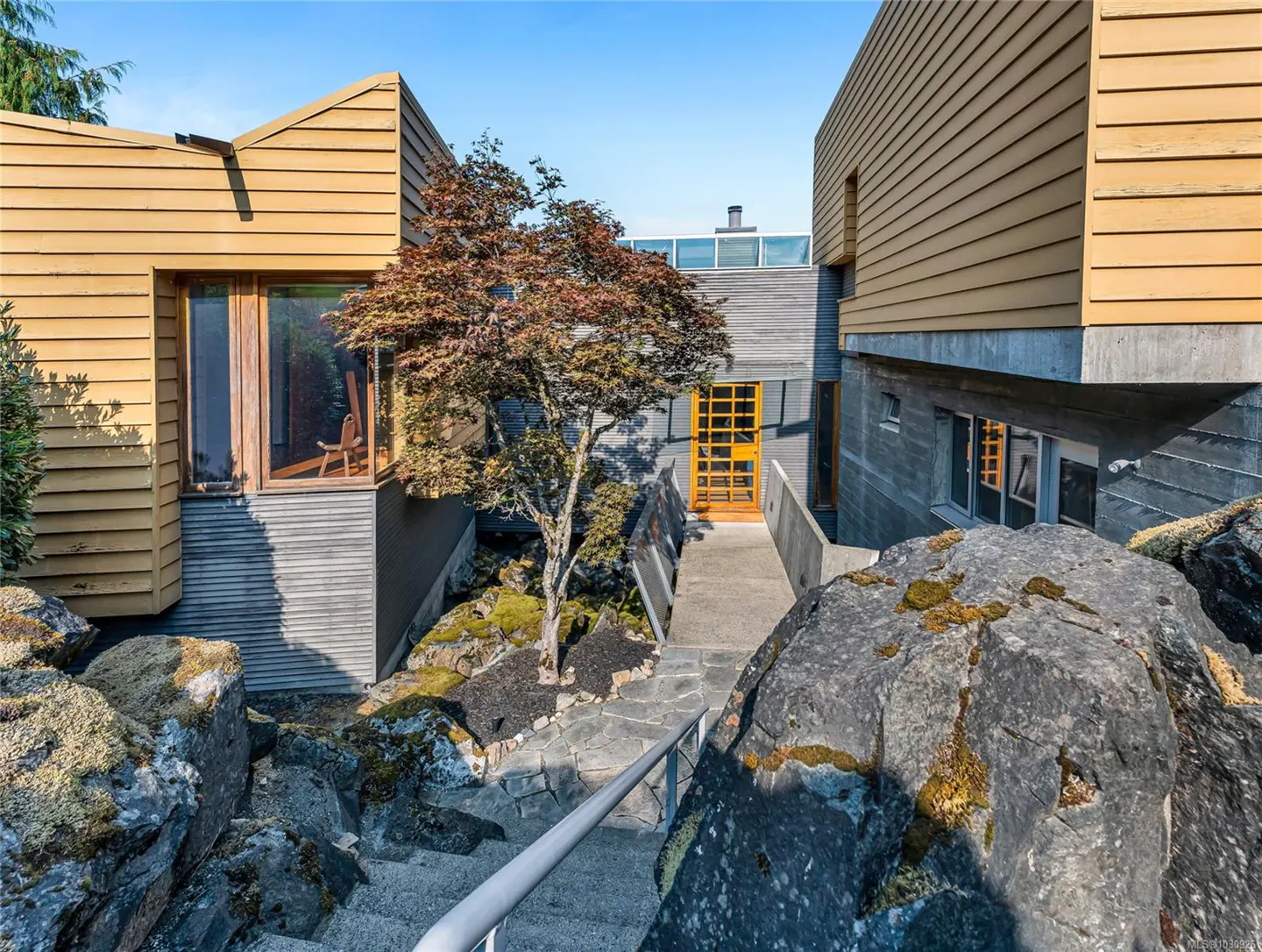 Exterior view of a modern home with yellow wood and gray concrete, surrounded by rocks and a Japanese maple tree.