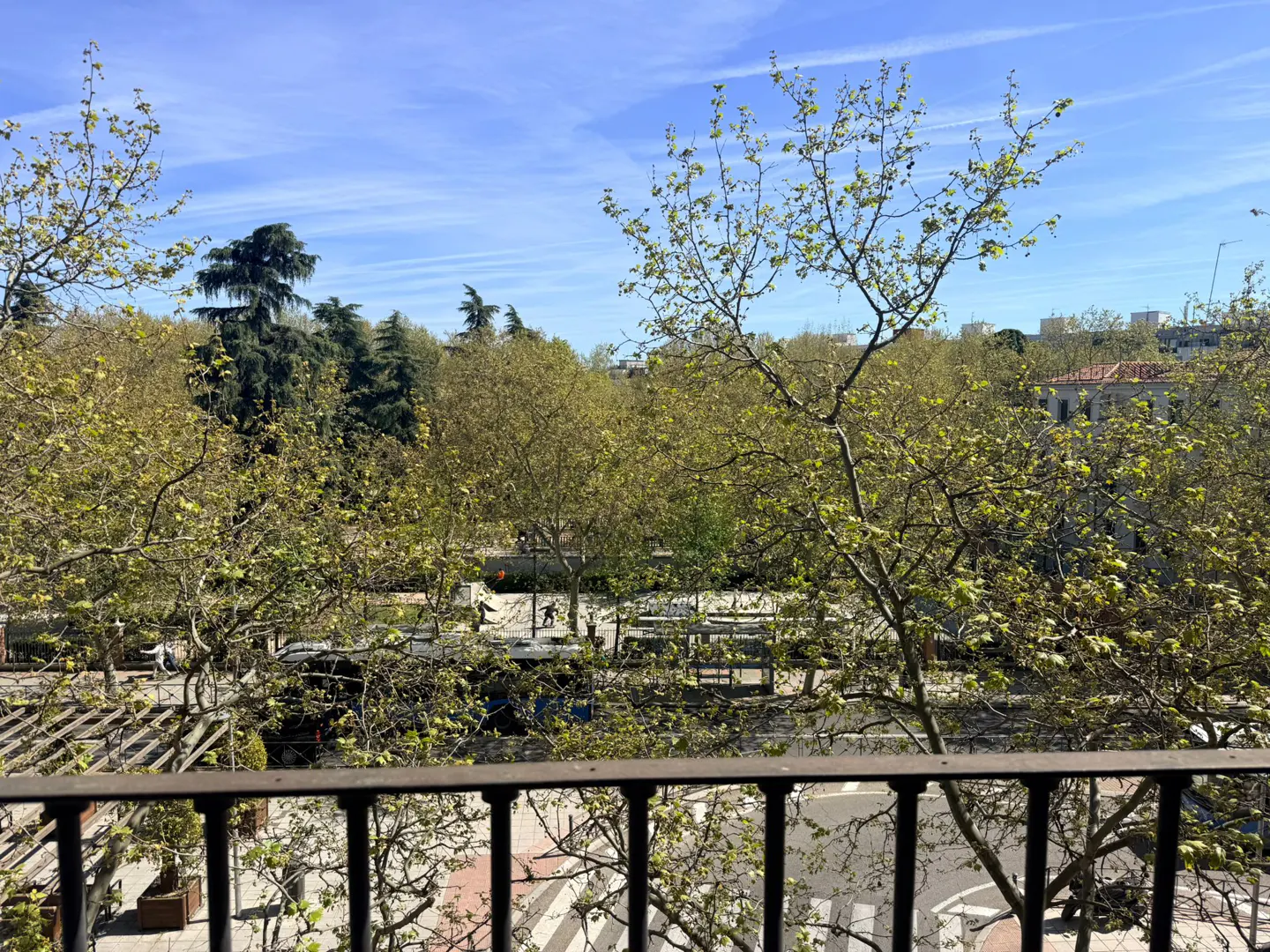 View from a balcony with black railings overlooking a park with green trees and a blue sky.