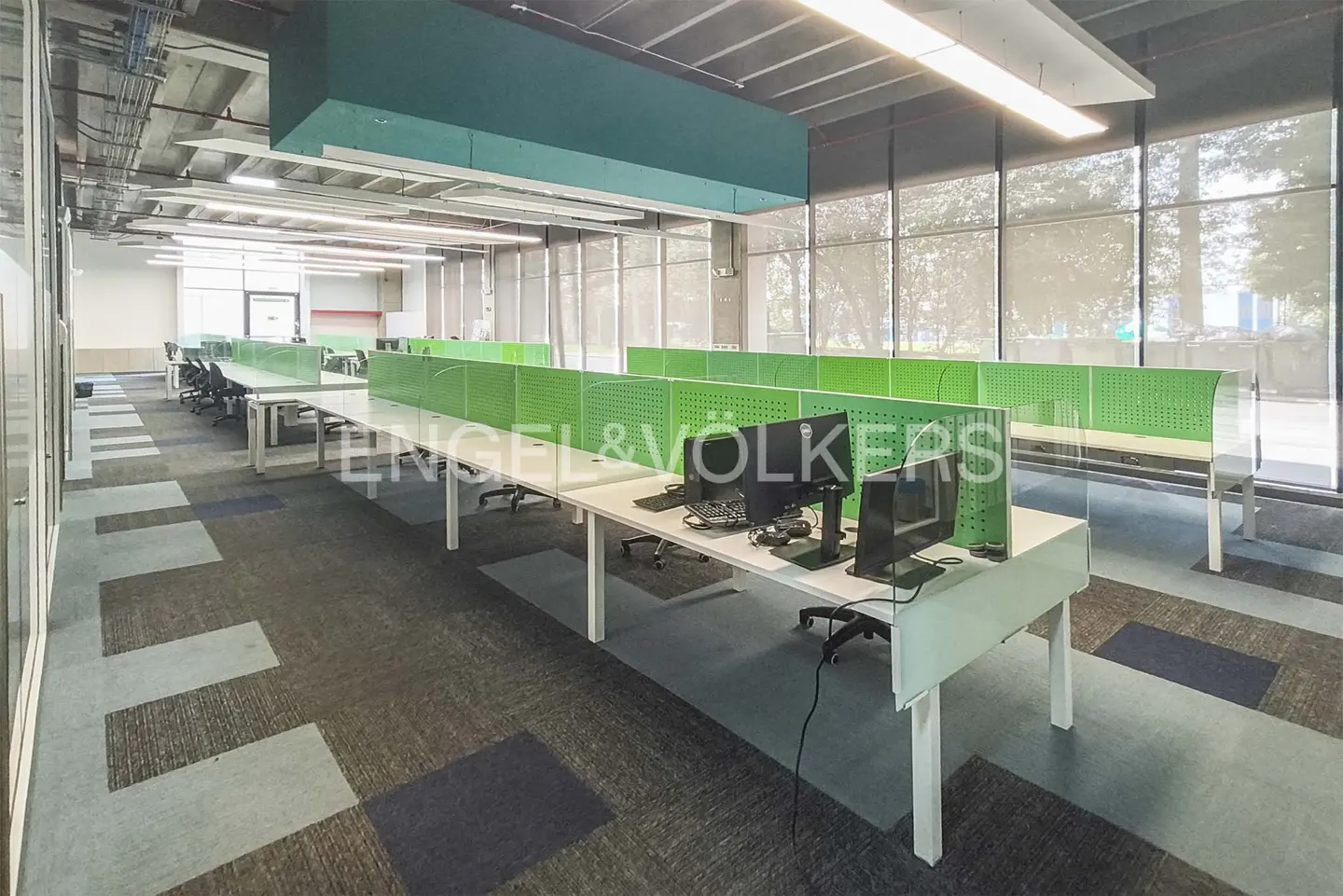 Bright office space with white desks, green dividers, and black chairs. Large windows with blinds and patterned carpet.