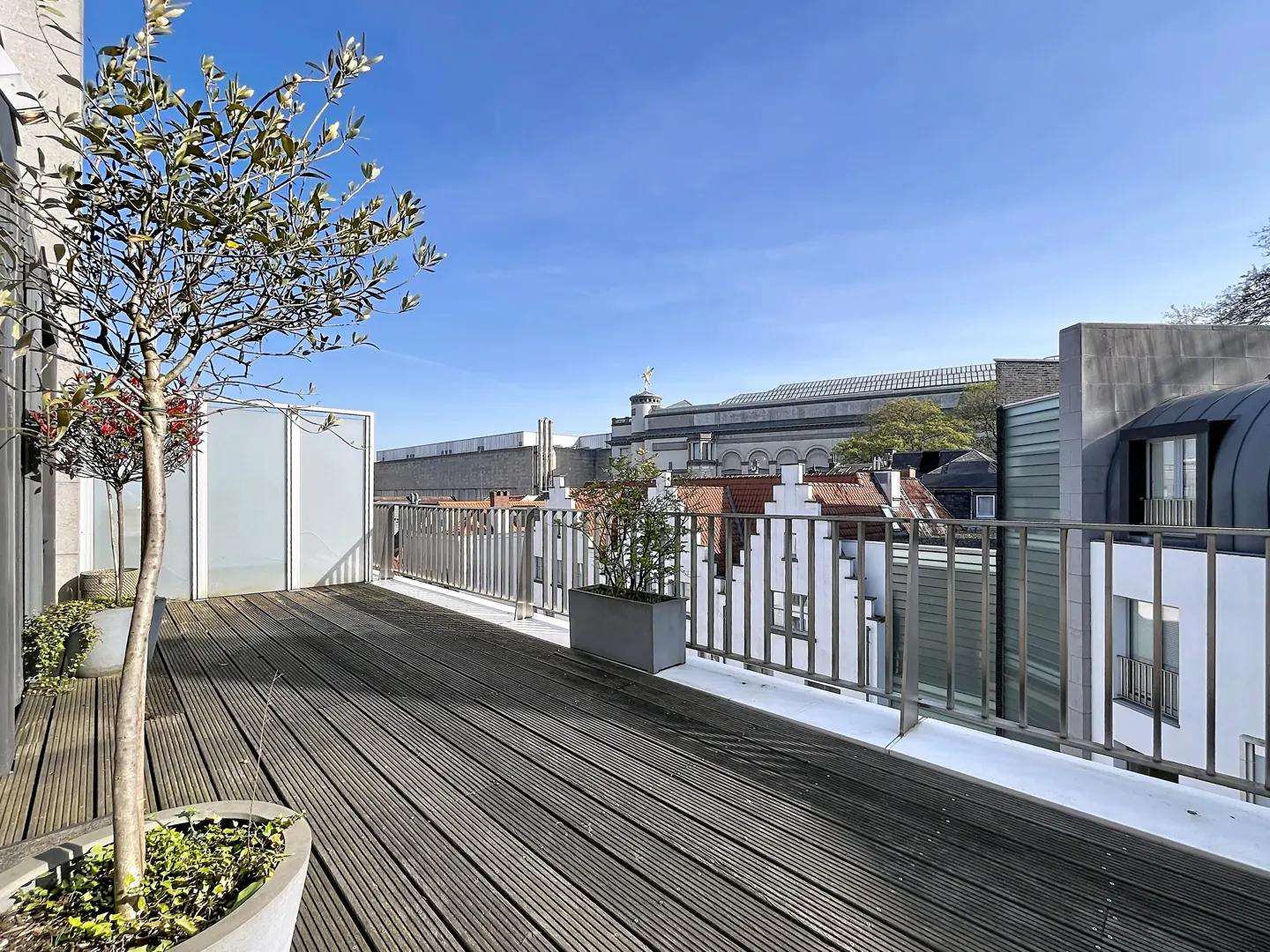 Wooden deck with potted trees and metal railing. City buildings and blue sky in the background.