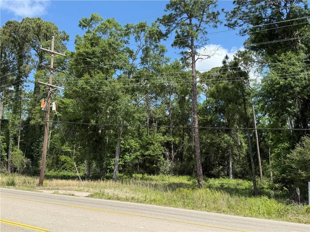 A wooded lot with tall trees and green foliage, viewed from a paved road with a yellow line. Utility pole on the left.