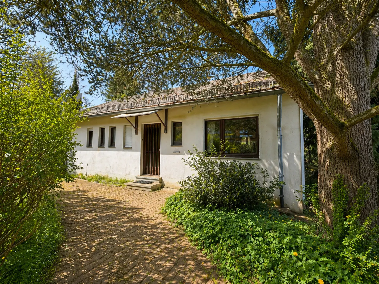 Exterior view of a one-story white building with a brown door and window frames, surrounded by green foliage and a large tree.