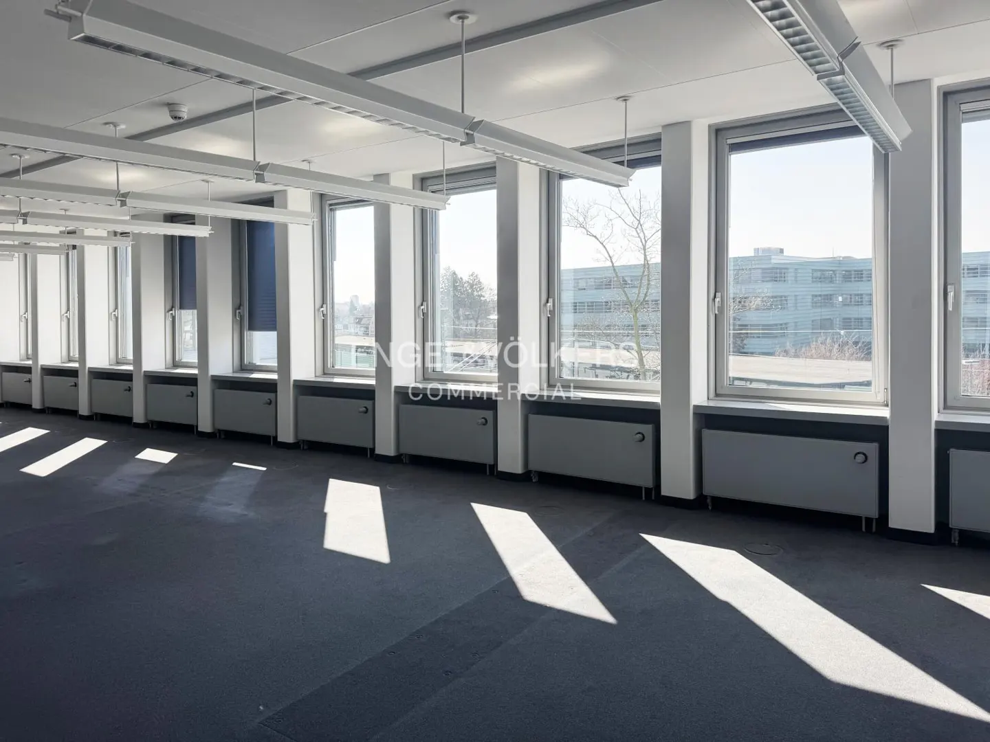 Bright, empty office space with large windows, gray carpet, and white walls. Sunlight streams in, creating shadows on the floor.