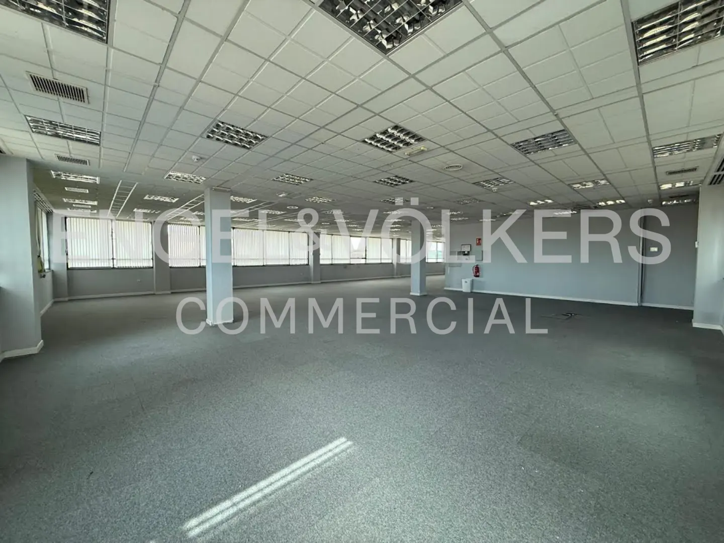 Empty office space with gray carpet, white walls, and a white grid ceiling with fluorescent lights. Windows line the back wall.