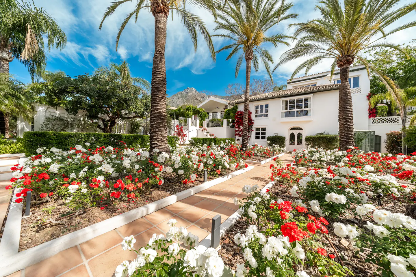 White villa with palm trees and a garden of red and white roses under a blue sky with clouds.
