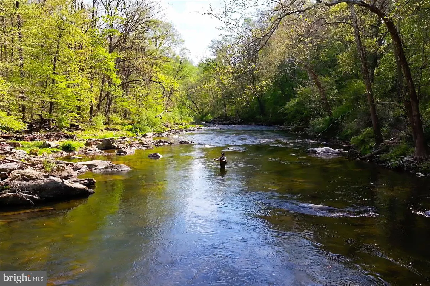 A man fly fishing in a river surrounded by green trees.