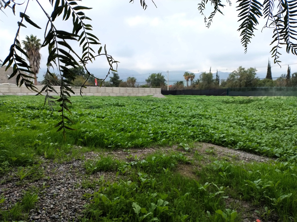 Arrendo de terrenos en plena nueva zona comercial de Chicureo