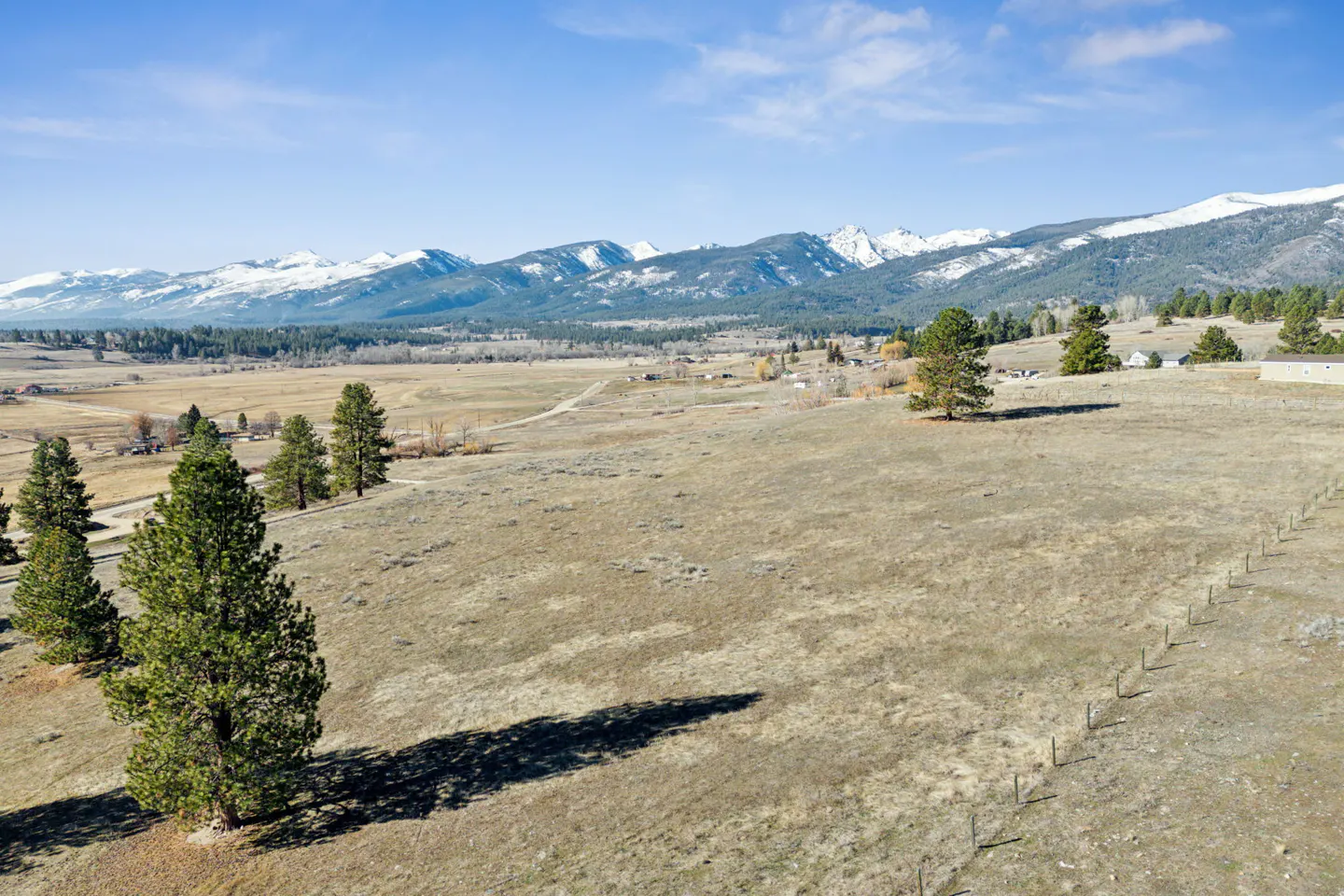 Scenic view of a grassy field with scattered pine trees, a distant village, and snow-capped mountains under a blue sky.