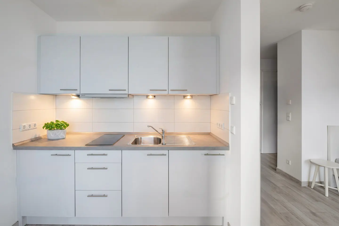 Bright, modern kitchen with white cabinets, gray countertops, stainless steel sink, and a small cooktop. A potted plant adds a touch of green.