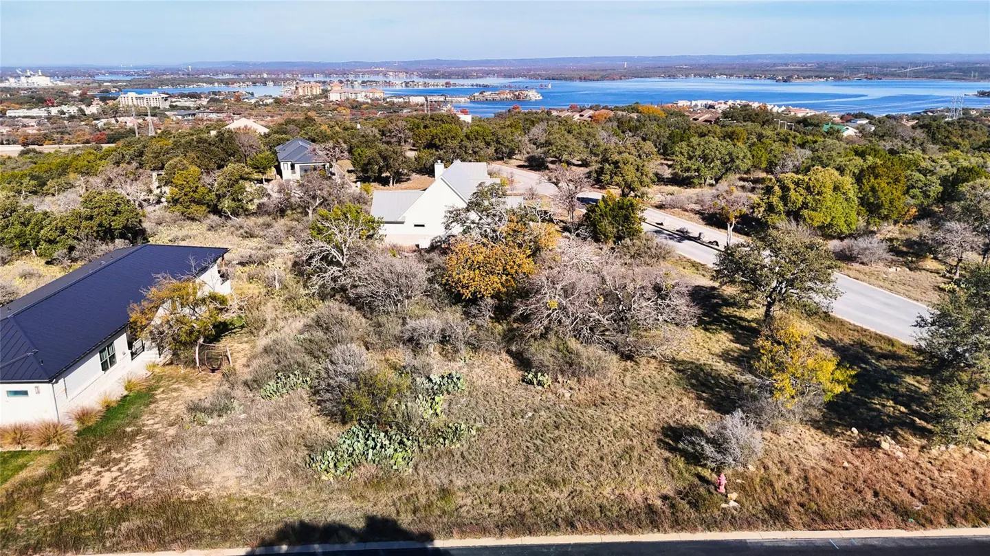 Aerial view of a wooded lot with houses, overlooking a lake and city skyline.