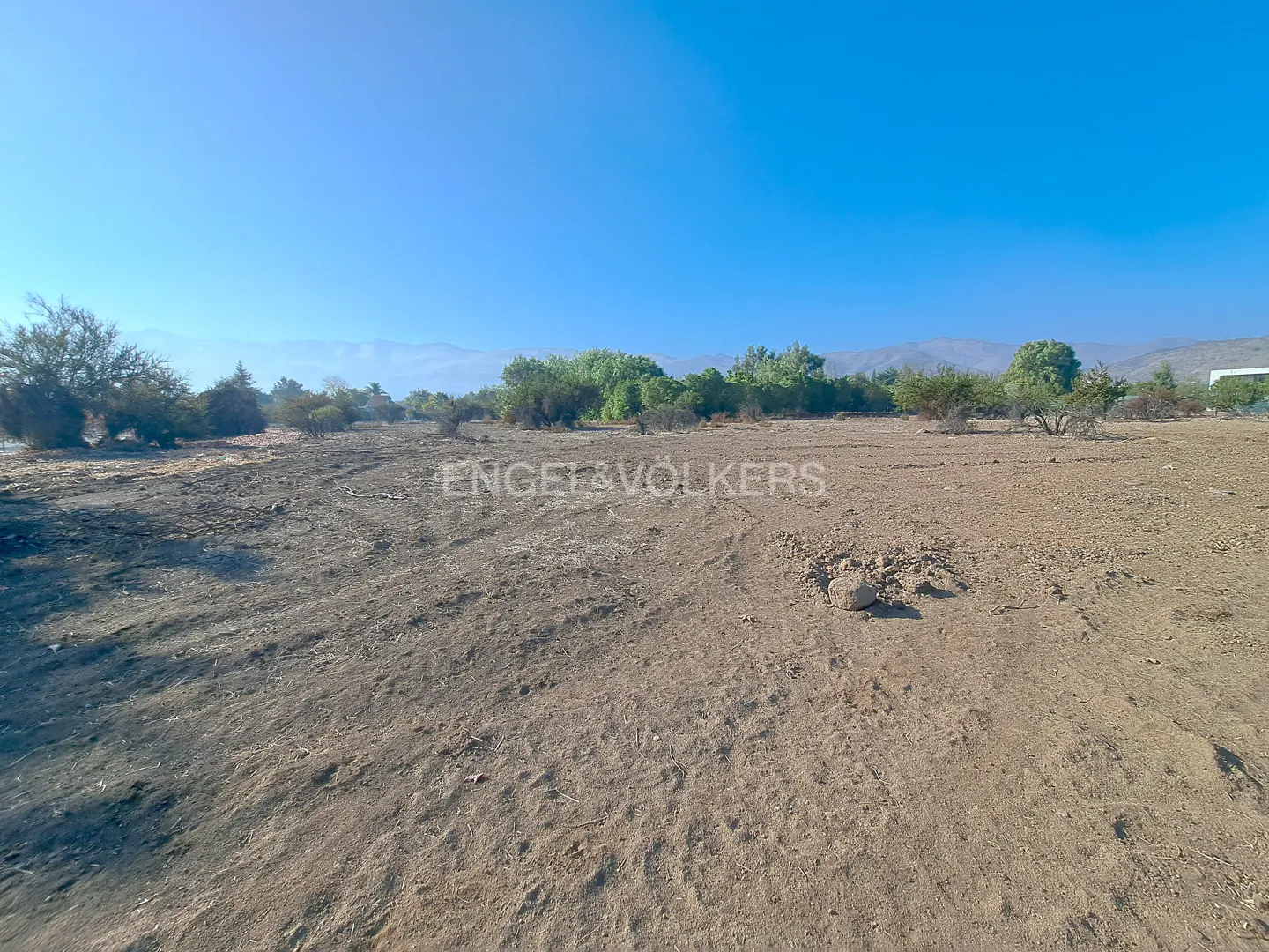 A wide shot of a vacant lot with dirt ground, sparse trees, and a clear blue sky.