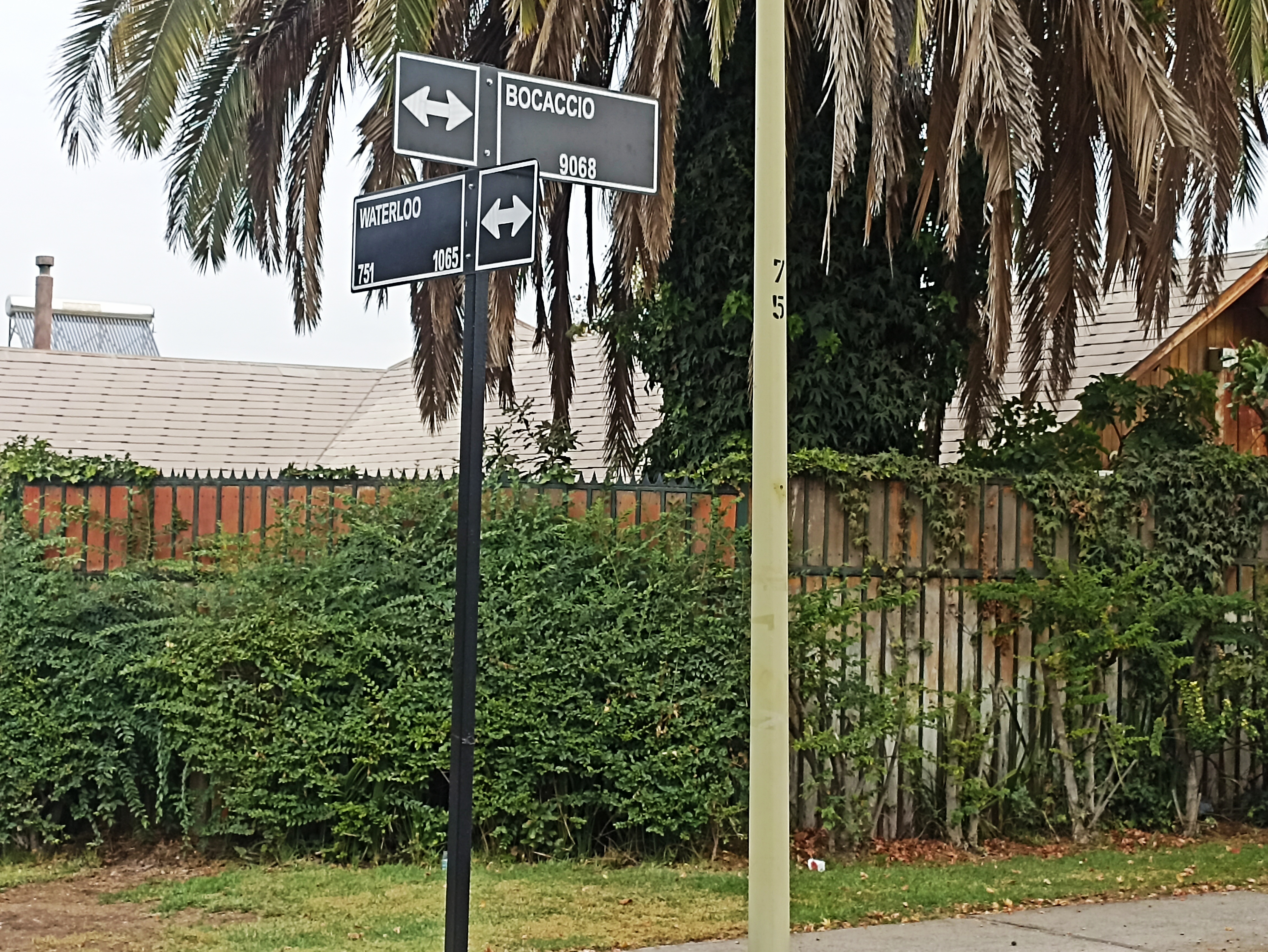 Bocaccio / Waterloo / INCLUYE AGUA, LUZ Y GAS