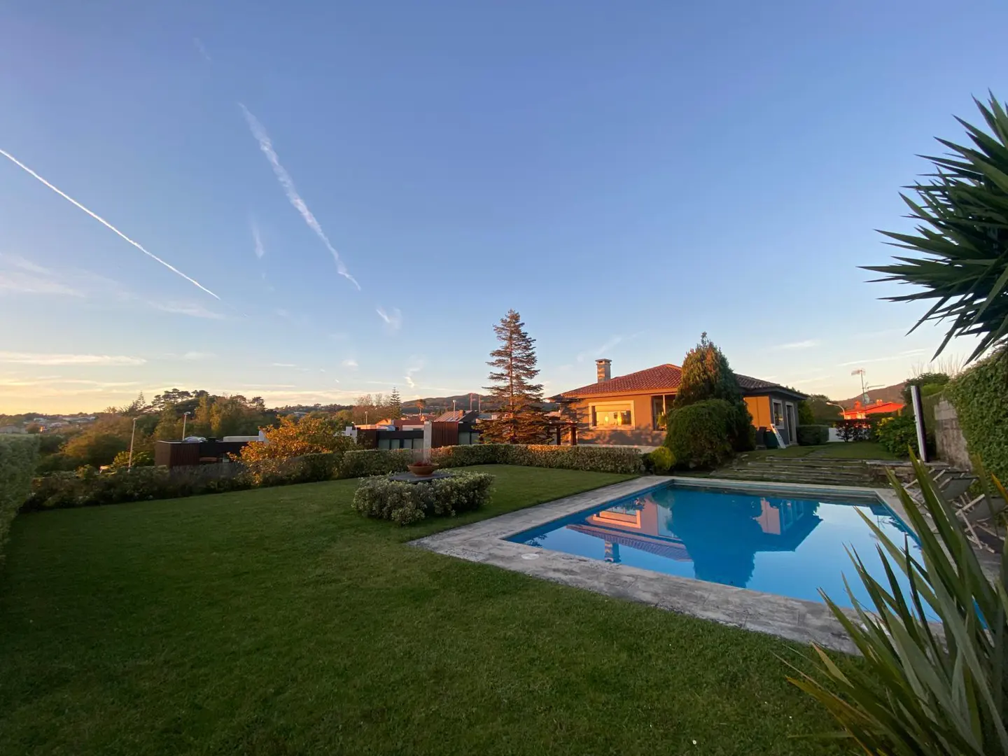 A backyard with a pool, green grass, and a house in the background under a blue sky with contrails.