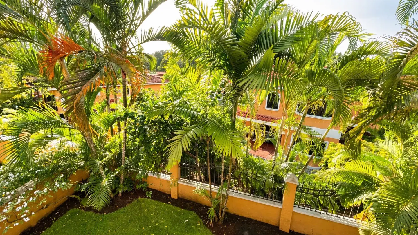 Lush tropical garden with palm trees, green lawn, and an orange house in the background. A black metal fence borders the property.
