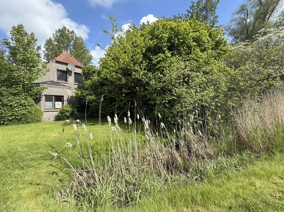 Exterior view of a gray house with a red roof, surrounded by green grass, trees, and cattails under a blue sky.