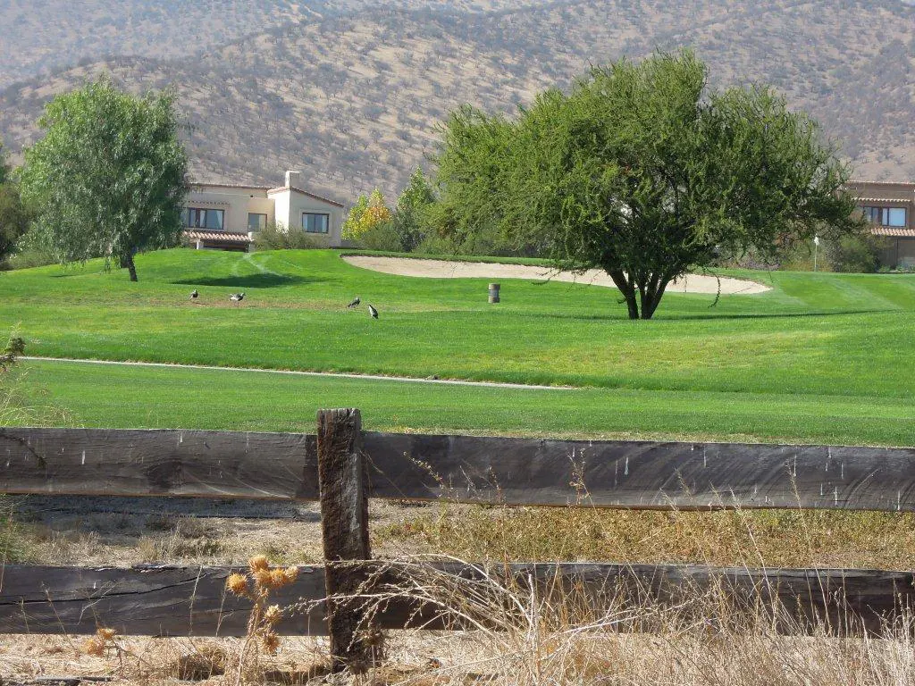 A green golf course with trees and a sand trap, viewed over a weathered wooden fence. Houses are visible in the background.