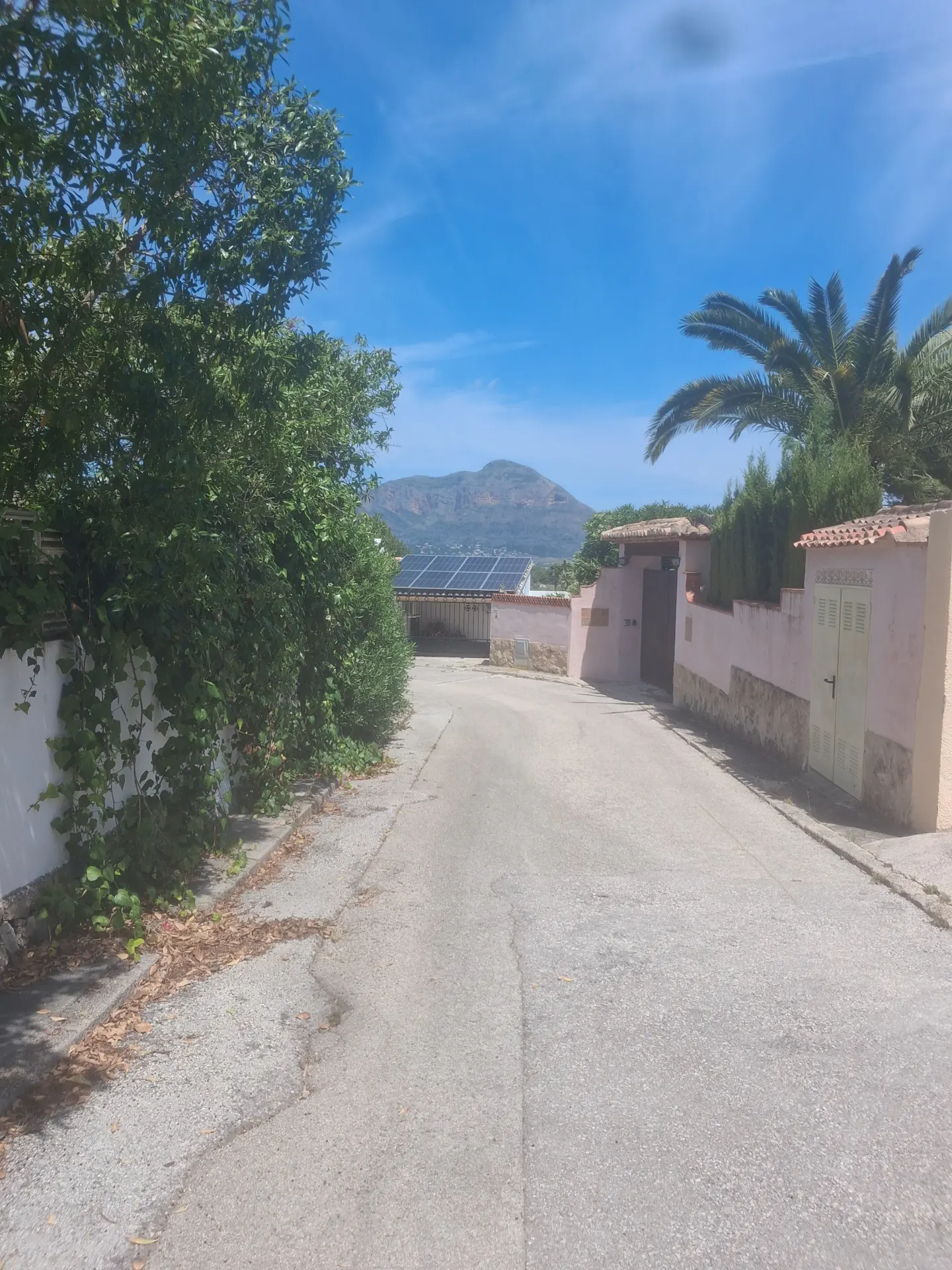 A street view with pink walls, green trees, and a mountain in the background under a blue sky. Solar panels are visible on a roof.