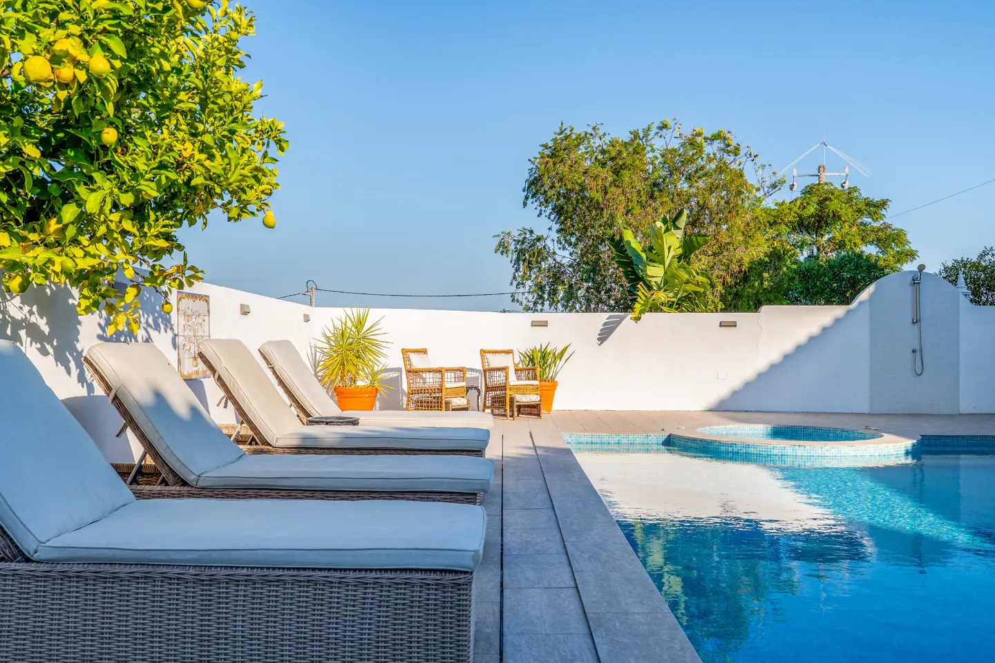 Outdoor pool area with lounge chairs, a lemon tree, and a white wall. Blue sky above.