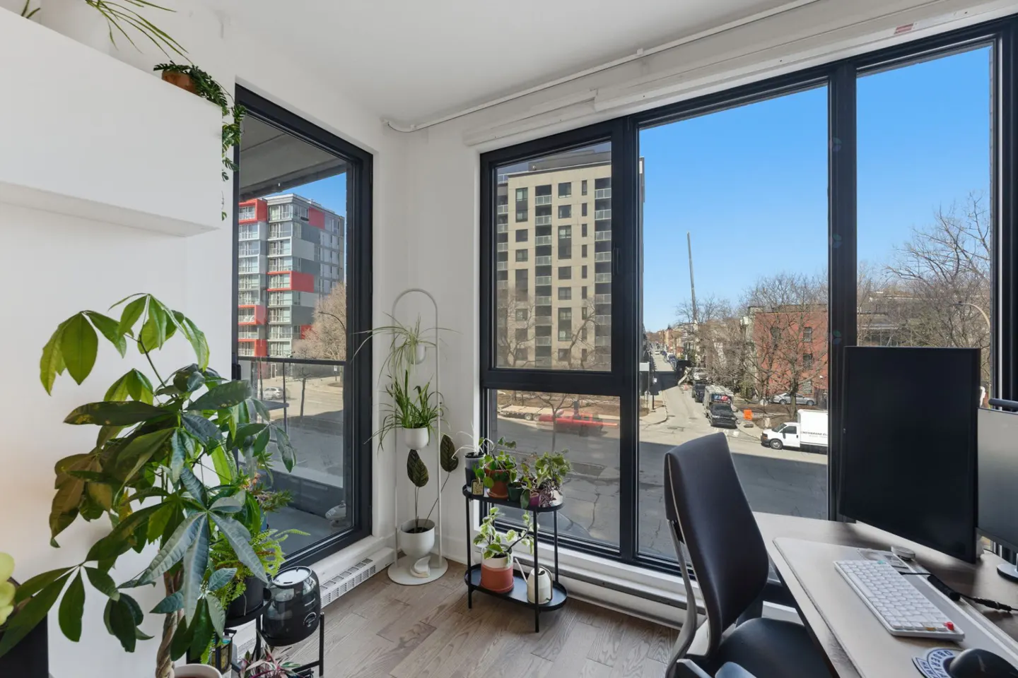Bright office space with large windows overlooking a city street. Plants are placed near the windows. A desk with a computer is visible.