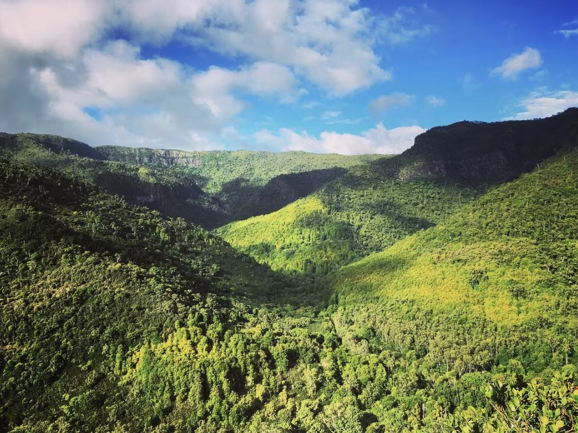 FOR SALE - Residential Land in Black River