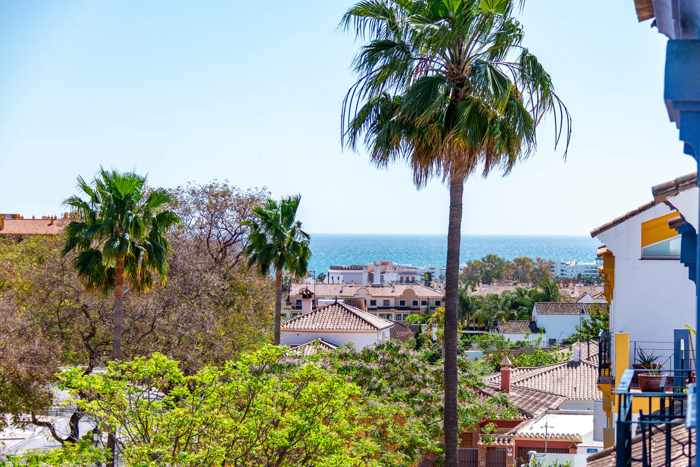 View of a coastal town with palm trees, white buildings with red tile roofs, and the blue ocean in the background.