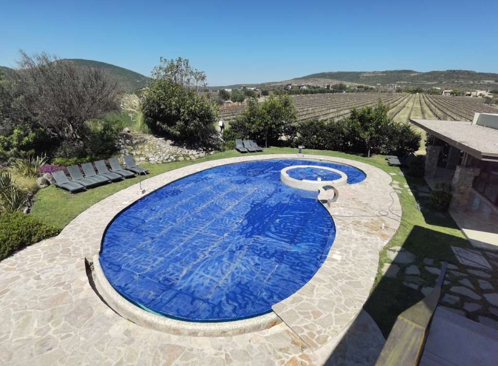 Viñedos San Miguel