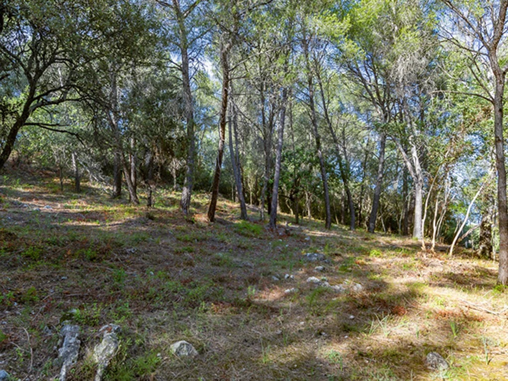 Building plot for sale with mountain views in Crestatx