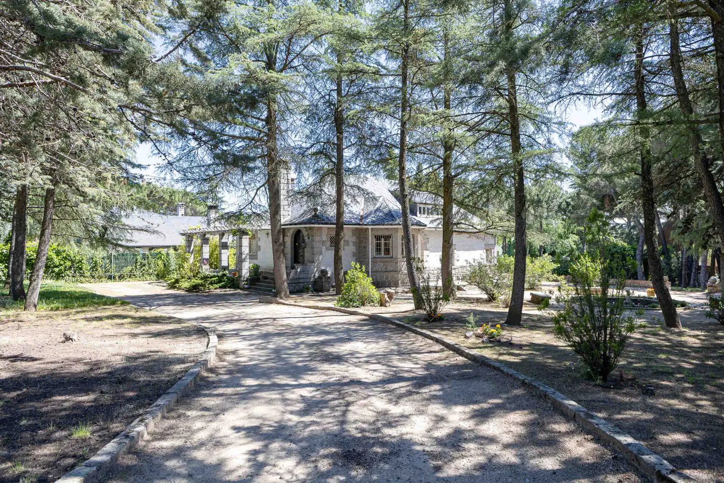 Stone house with a gray roof, surrounded by tall trees and a gravel driveway.
